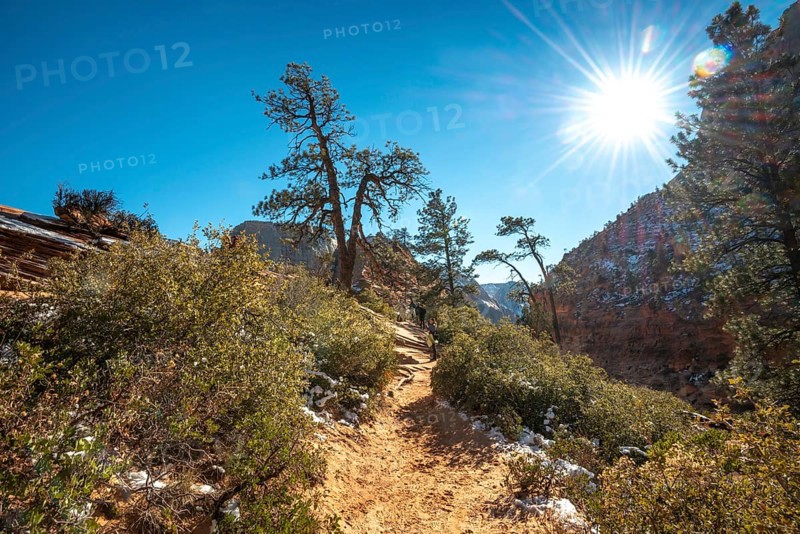 Hiking trail Angels Landing Trail