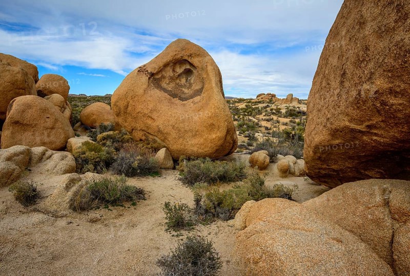 Sculpted Rocks