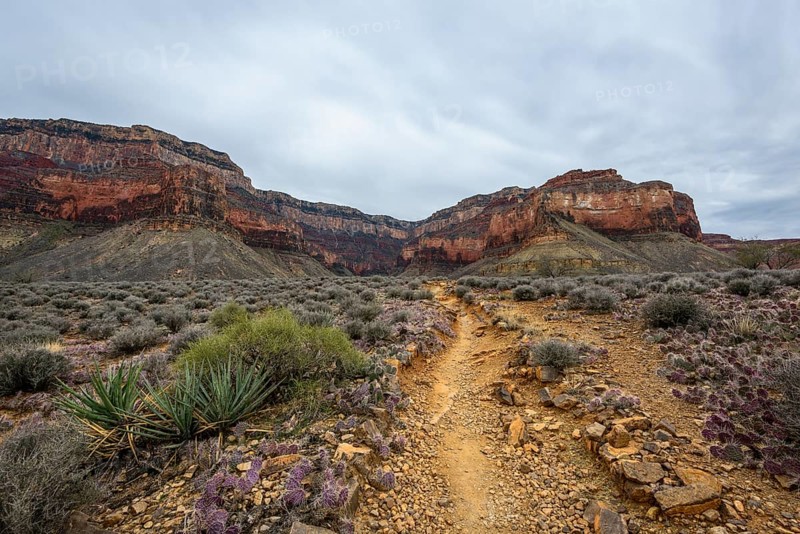 View from Plateau Point in the gorge of the Grand Canyon to the South Rim