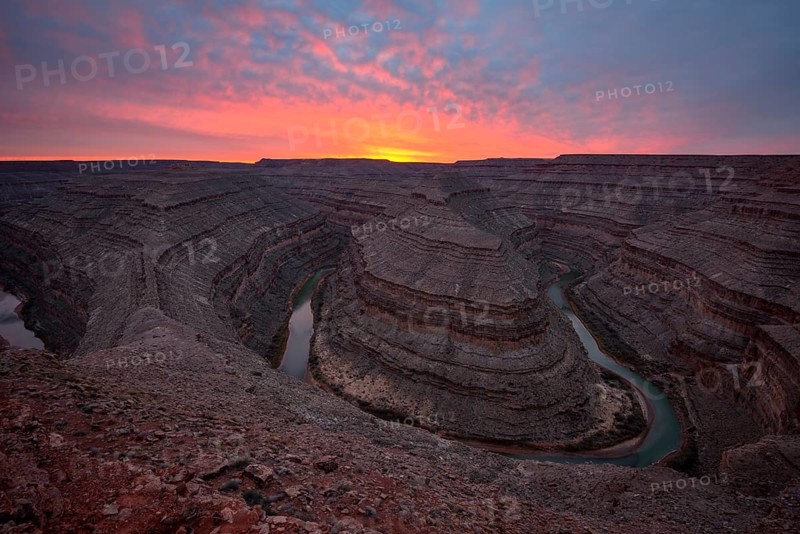 Goosenecks at sunset