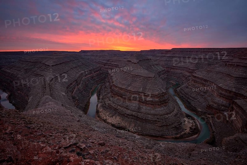 Goosenecks at sunset