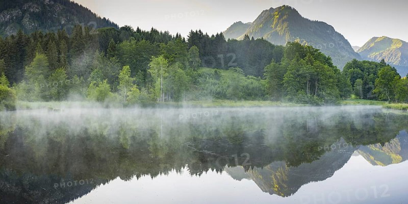 Moor pond with early fog