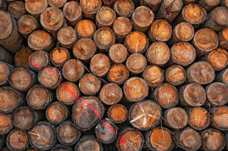 Stacked logs