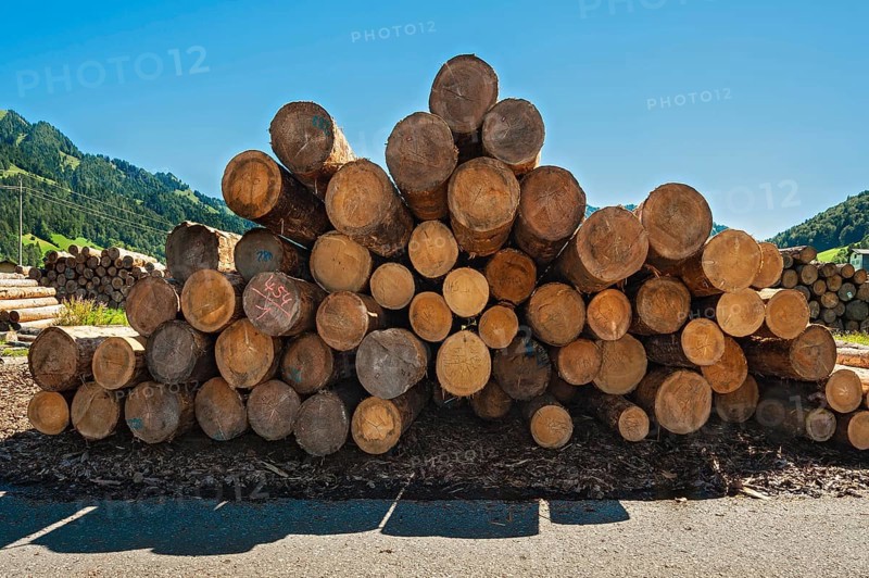 Stacked logs