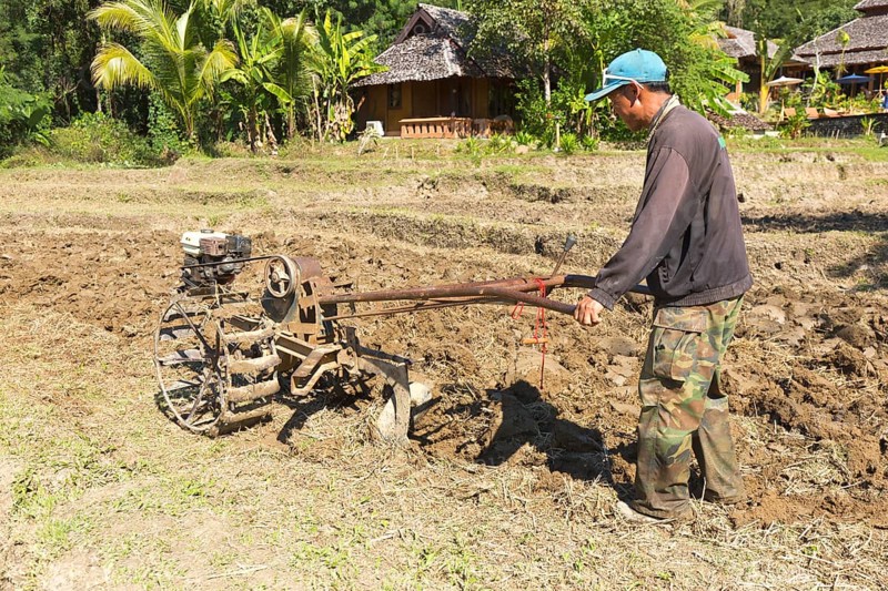 Rice farmer with motor plough on a rice field