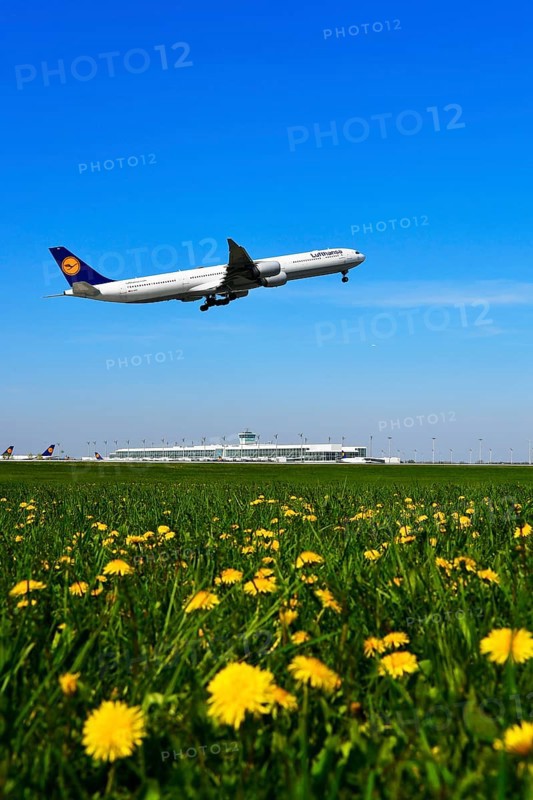 Lufthansa Airbus A 340-600