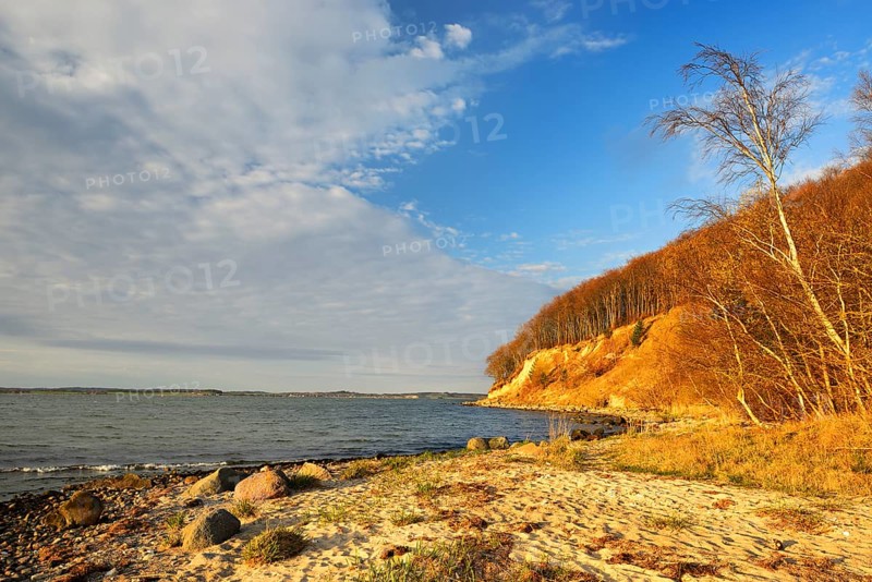 Coastline