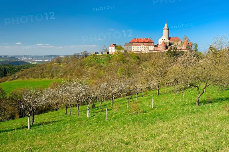 Flowering fruit trees below Leuchtenburg Castle