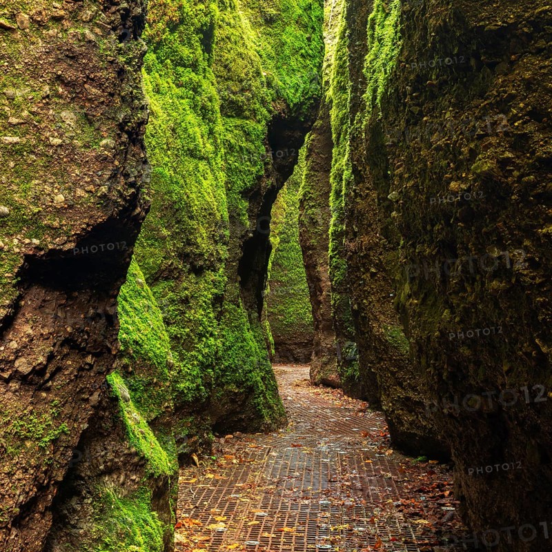 Dragon gorge