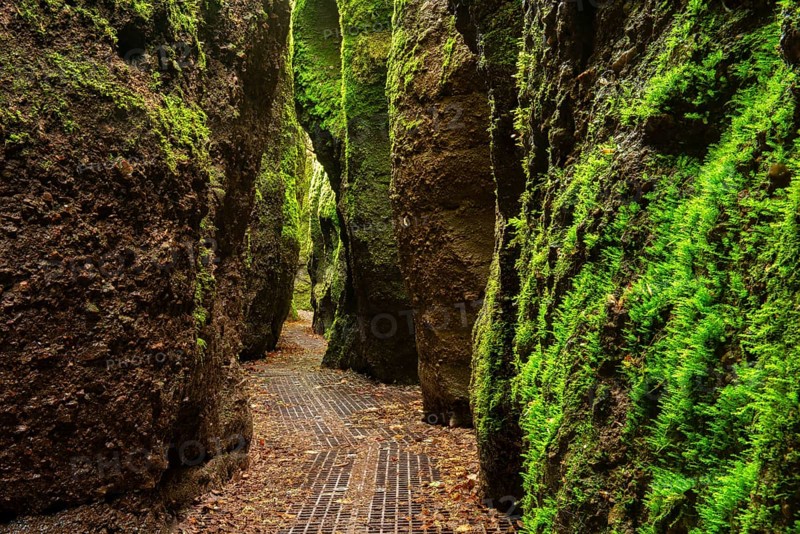Dragon gorge