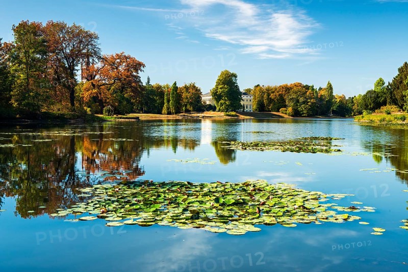 Autumn in Worlitz Park
