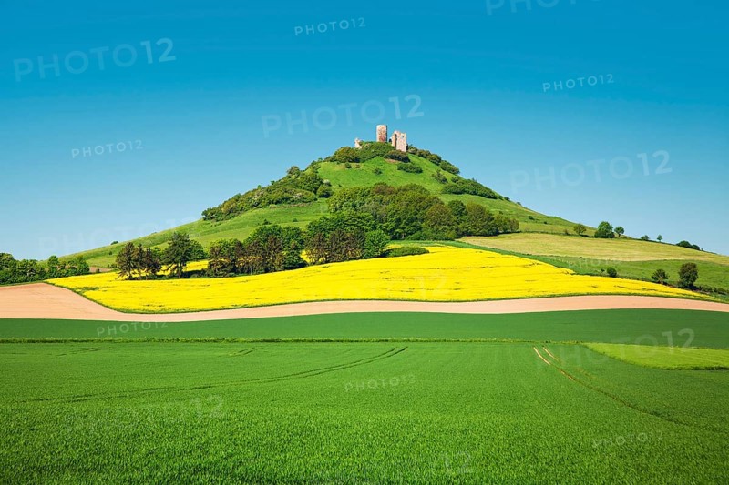 Desenberg Castle