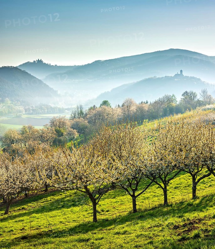 View of two castles