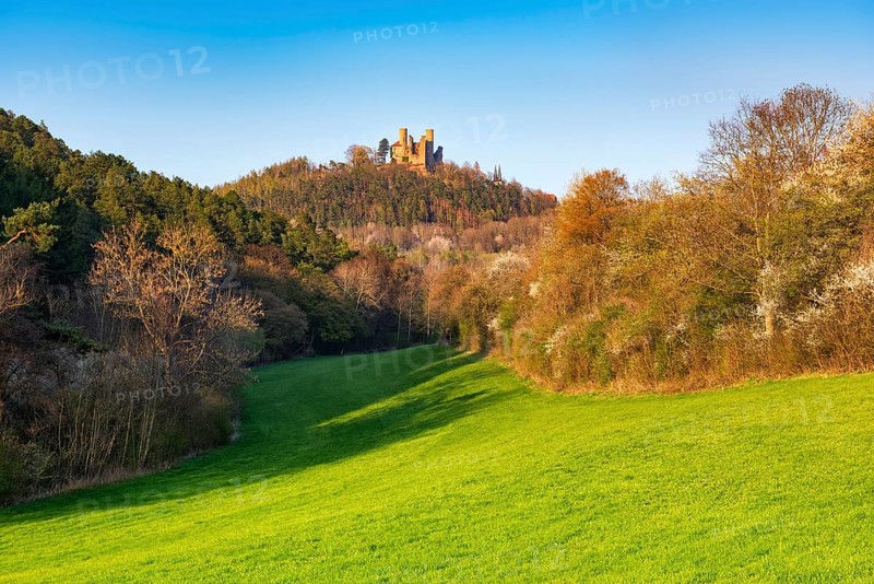 Ruin of Hanstein Castle in spring