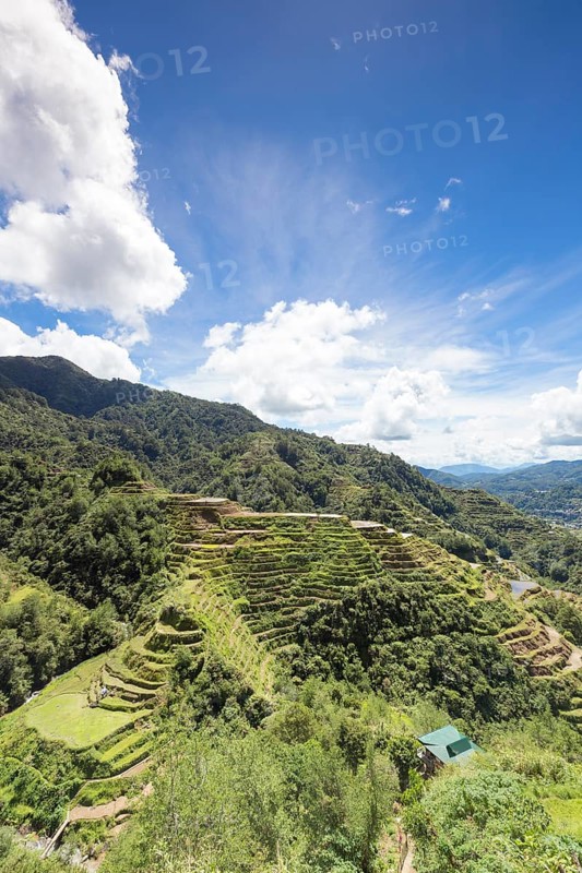 View of the rice terraces as seen from the Banaue viewpoint