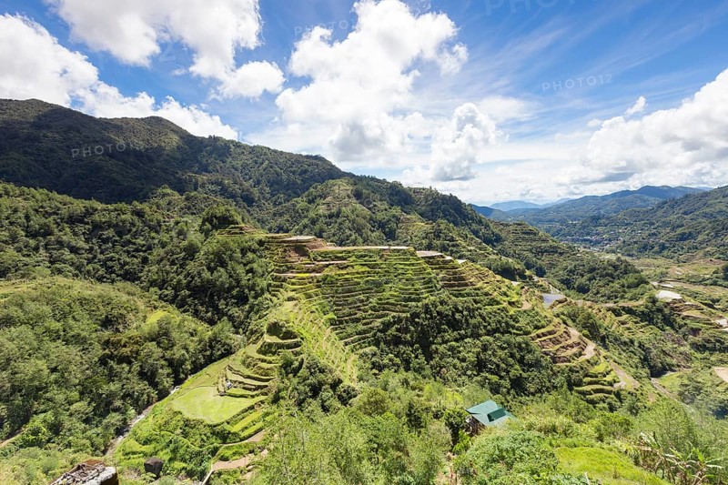 View of the rice terraces as seen from the Banaue viewpoint