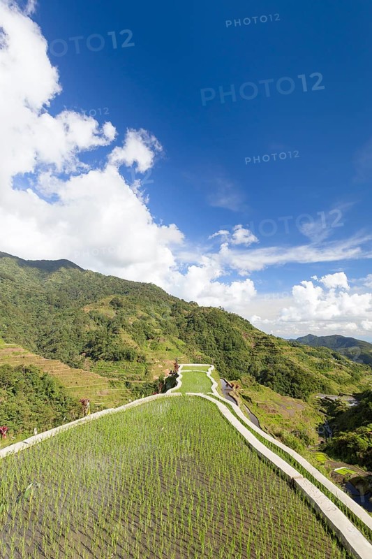 View of the rice terraces as seen from the Banaue viewpoint