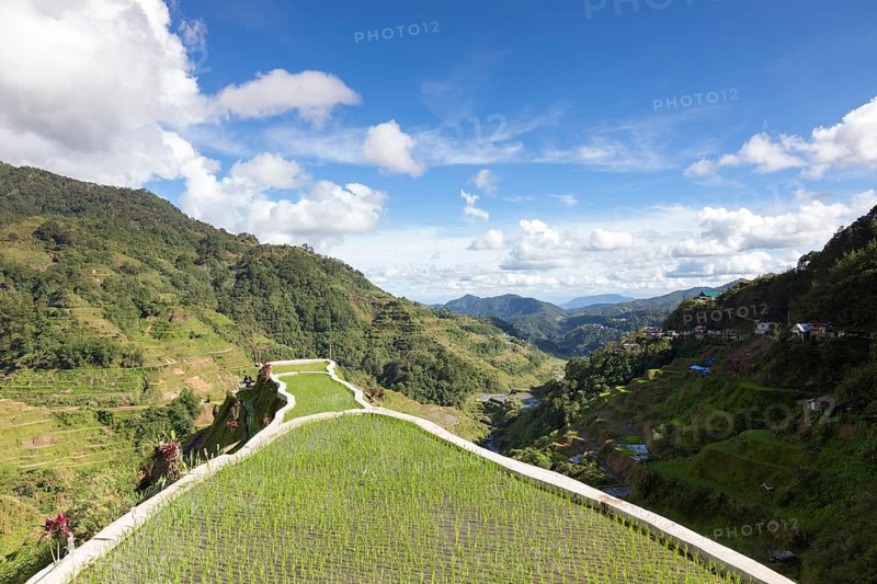 View of the rice terraces as seen from the Banaue viewpoint
