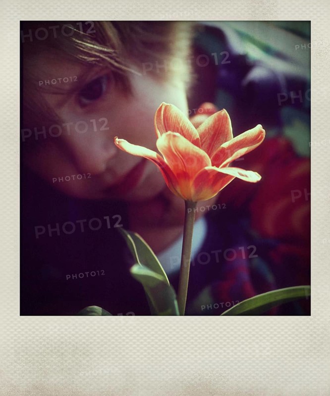 Little girl looking at a flower
