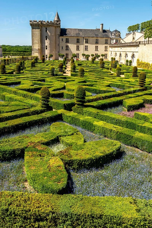 Chateau de Villandry and its gardens