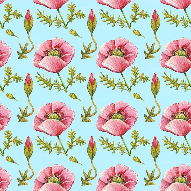 Wallpaper