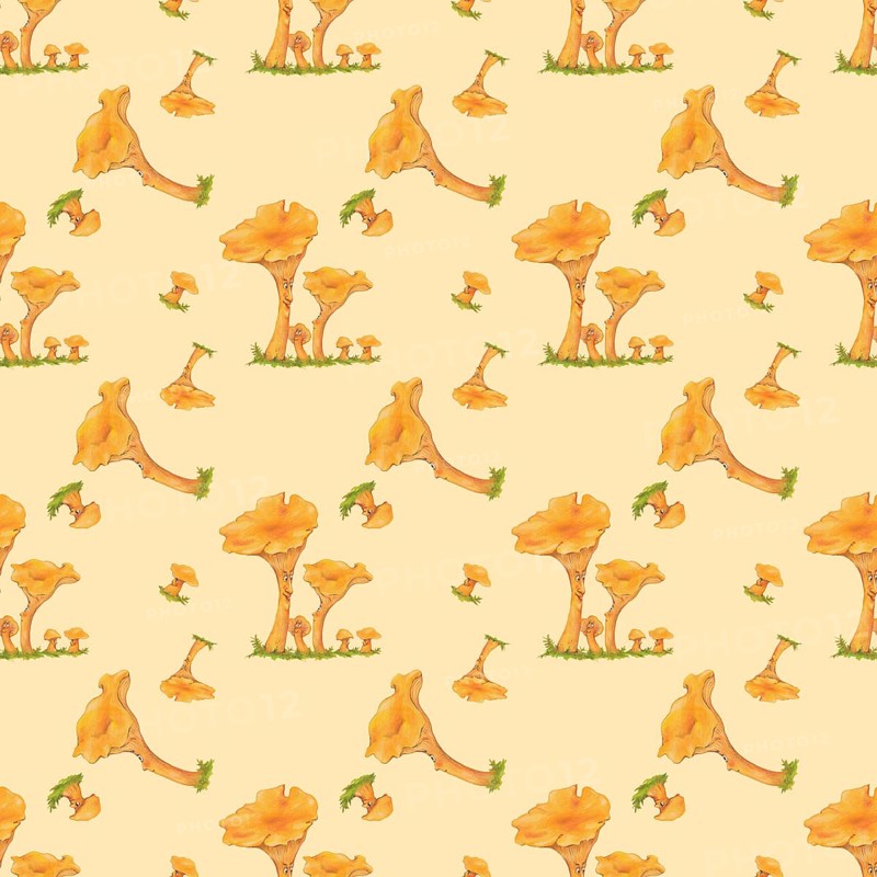 Wallpaper