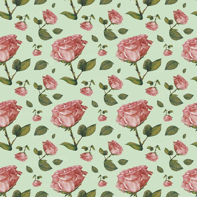 Wallpaper