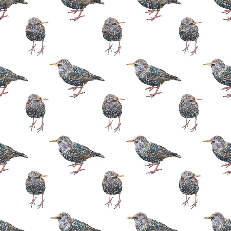 Wallpaper