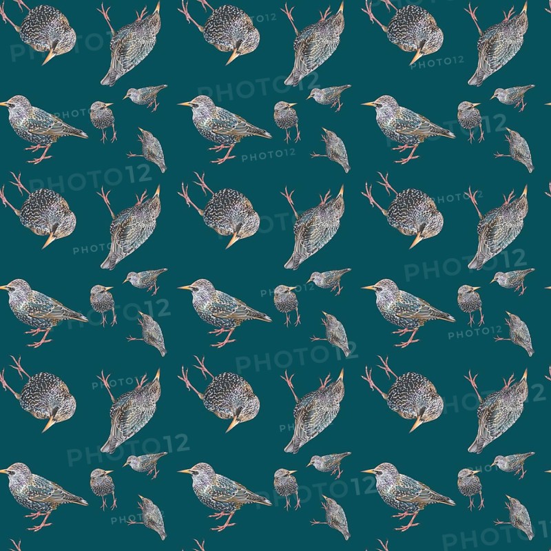 Wallpaper