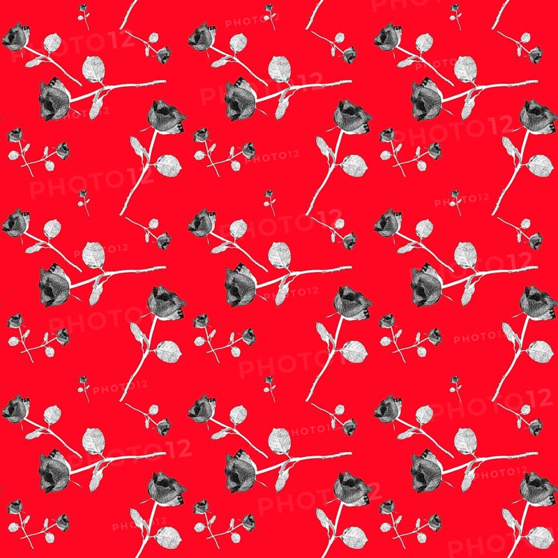 Wallpaper