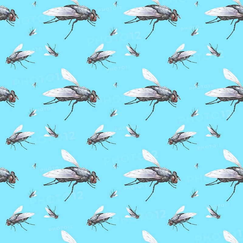Wallpaper