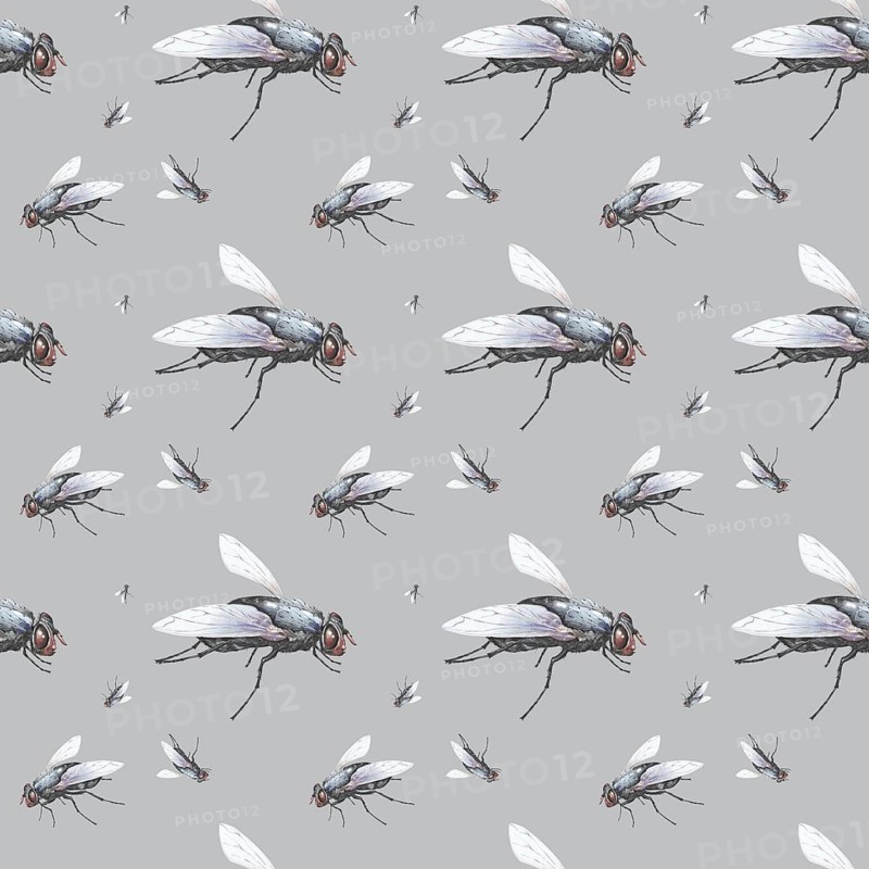 Wallpaper