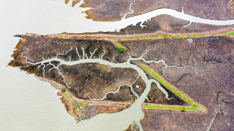 River landscape in delta