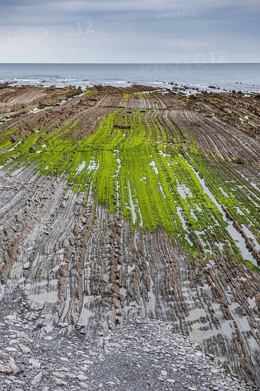Flysch