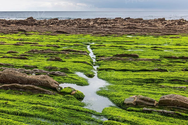 Flysch