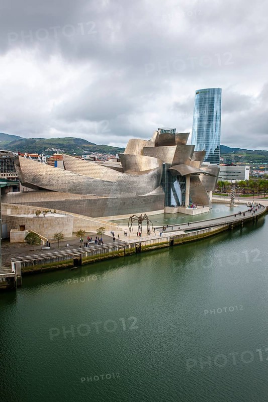Guggenheim Museum Bilbao on the bank of the Nervion River