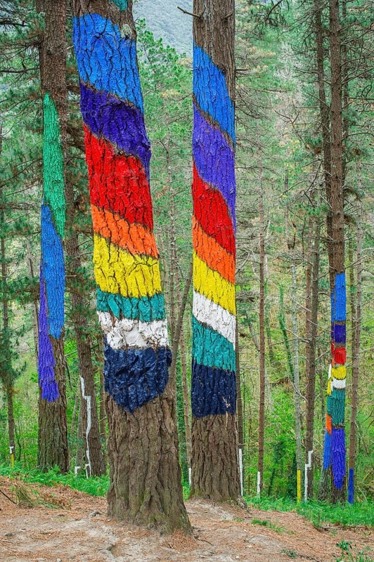 Painted tree trunks