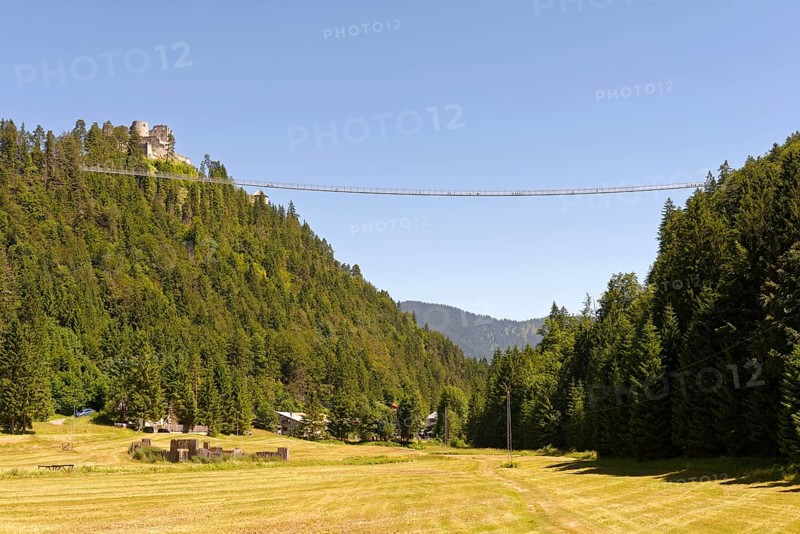 Ehrenberg Castle with pedestrian suspension bridge