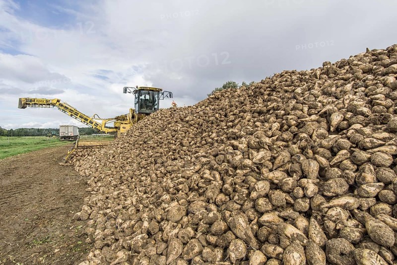 Agriculture