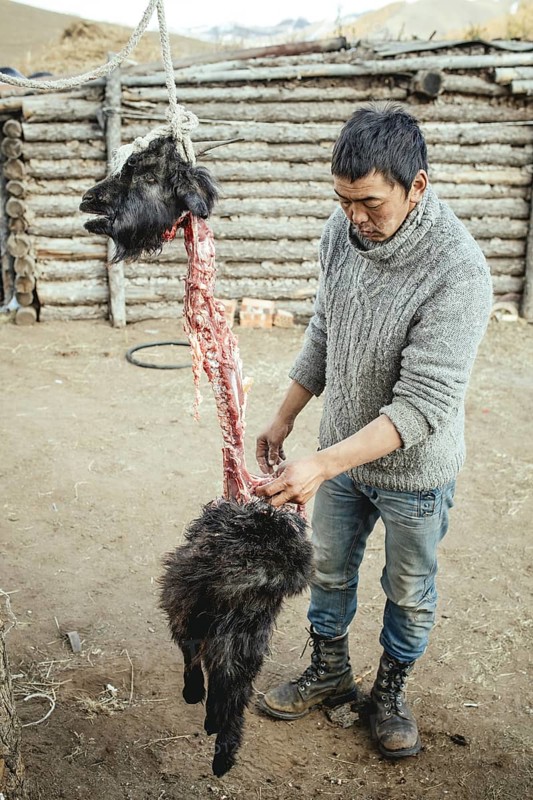 Traditional cooking of a goat with hot stones in its belly