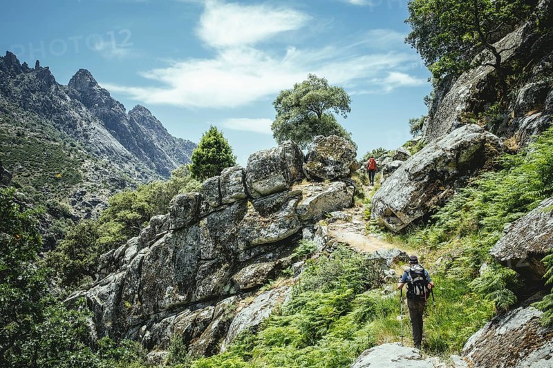 Hikers in rocky landscape