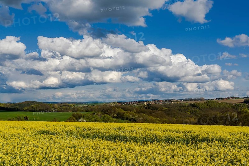 Agricultural landscape with village