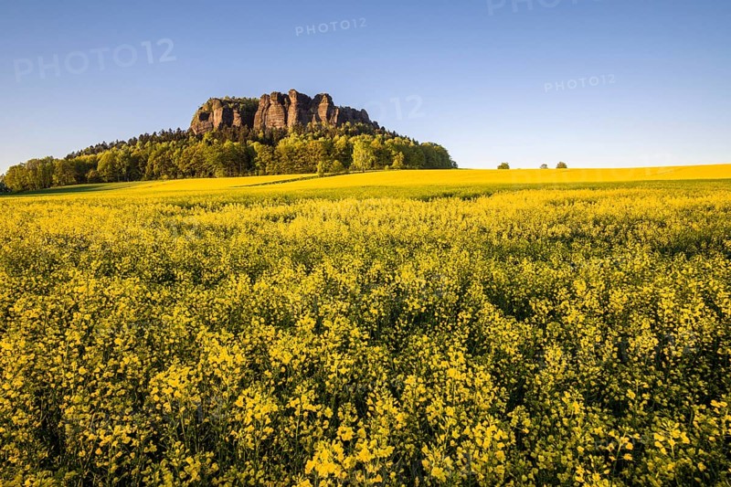 Agricultural landscape