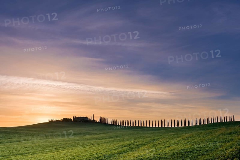 Typical green Tuscan landscape in Bagno Vignoni
