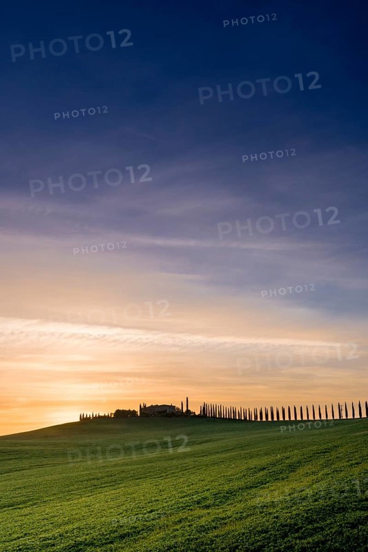 Typical green Tuscan landscape in Bagno Vignoni