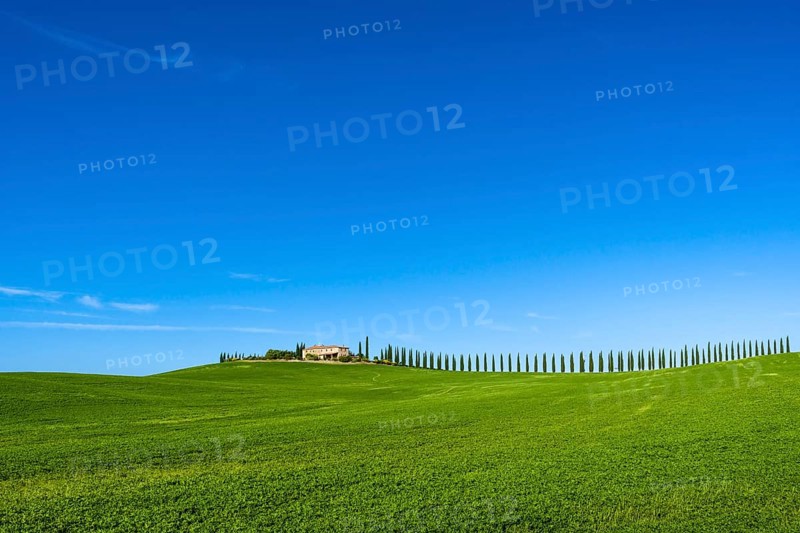 Typical green Tuscan landscape in Bagno Vignoni