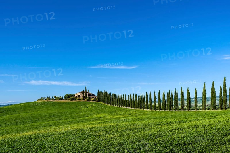 Typical green Tuscan landscape in Bagno Vignoni