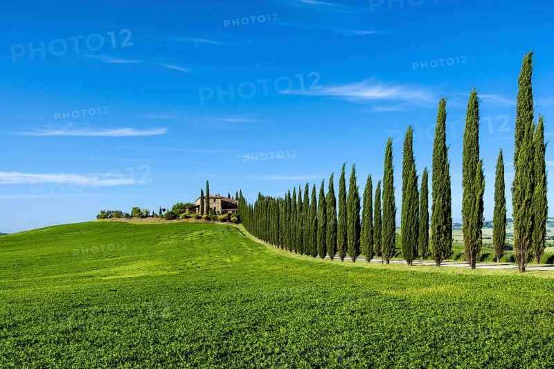 Typical green Tuscan landscape in Bagno Vignoni
