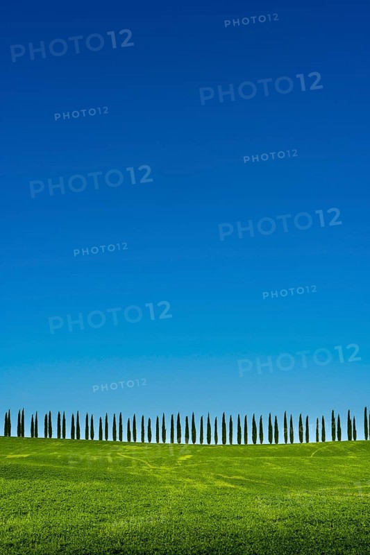 Typical green Tuscan landscape in Bagno Vignoni
