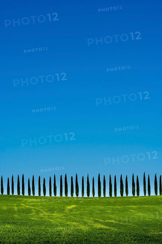 Typical green Tuscan landscape in Bagno Vignoni